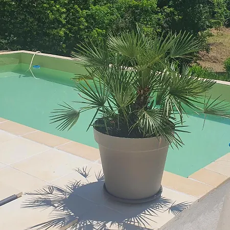 Les Lavandines Guest house Montagnac (Alpes-de-Haute-Provence)